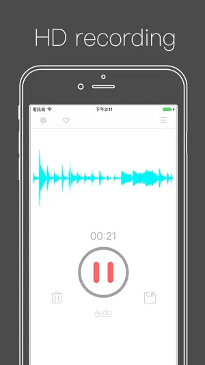 Voice Recorder ⁺ Recording screenshot 1