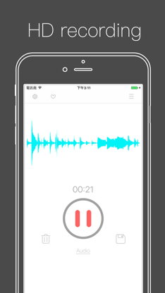 Voice Recorder ⁺ Recording screenshot 1