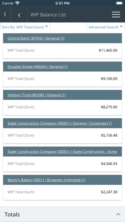 Expert Assistant Professional