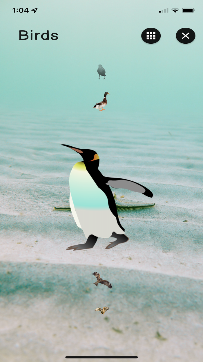 Jungle Book Sounds for kids