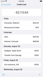 debit & credit iphone screenshot 2