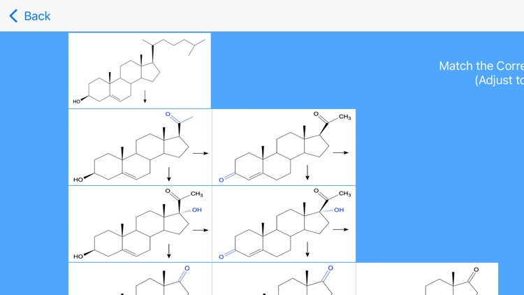 Estrogen Hormones Tutor screenshot-3