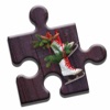Christmas Decorations Puzzle icon