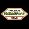 Taquerias Habannas icon