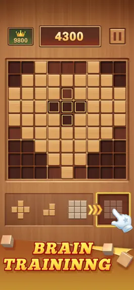 Game screenshot Wood Block 99 - Sudoku Puzzle apk