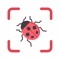 Icon Bug Identifier: Bugs, Spiders