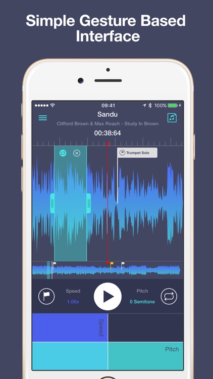 Transcribe+