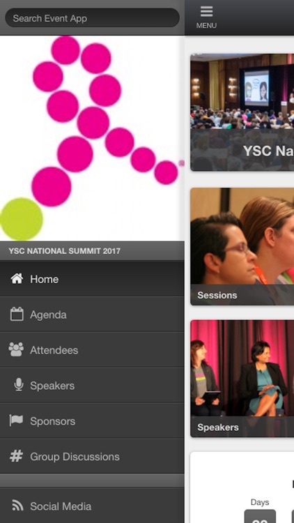 YSC 2017