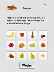 iq test kompakt ipad bildschirmfoto 2