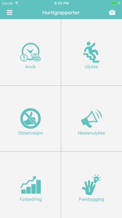 Screenshot #3 pour DNS HSEQ