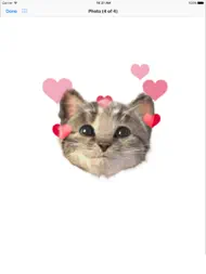 Little Kitten Stickers ipad bilder 1