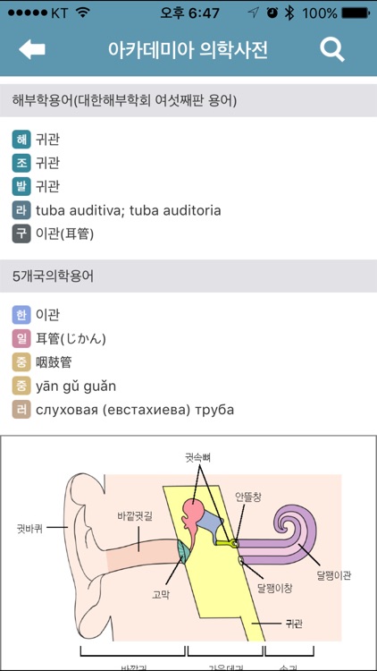 아카데미아 의학사전 screenshot-3