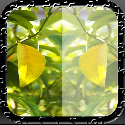 Free Photo Mirror Pro Edition icon