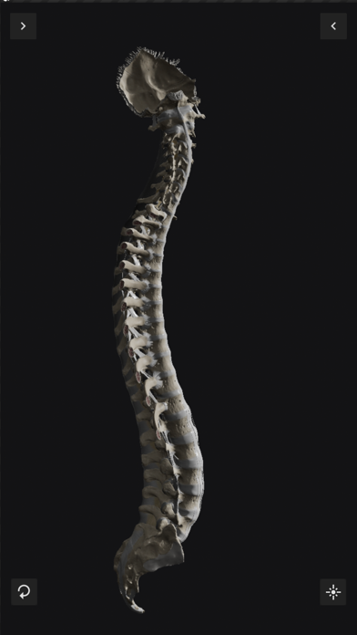 Biomechanics of the Spine Liteのおすすめ画像9