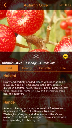 Wild Edibles Lite(圖1)-速報App