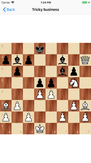 Chess puzzles! screenshot 1