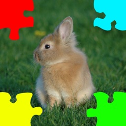 Baby Rabbits Jigsaw Puzzles