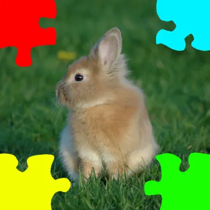 Baby Rabbits Jigsaw Puzzles Cheats
