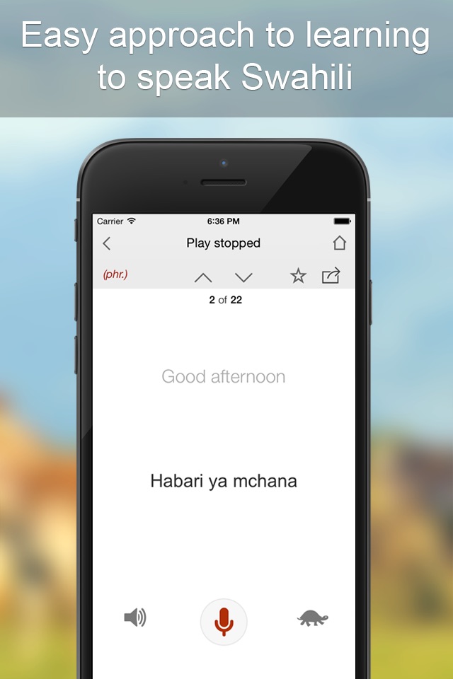Swahili Phrasebook screenshot 3