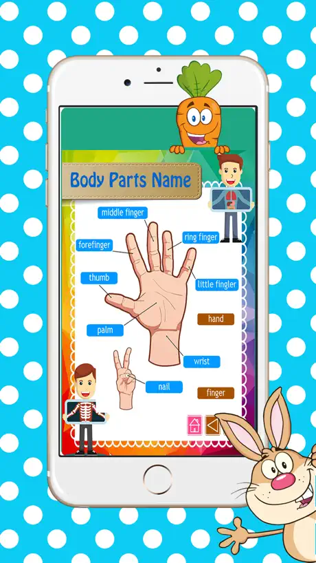 Learning ESL Full Human Body Parts Name Flashcards