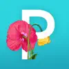 Picolla - Be Bohemian App Positive Reviews