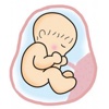 胎动计数器-随心计胎动,宝宝更健康