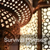 Survival Phrases Arabic for iPad