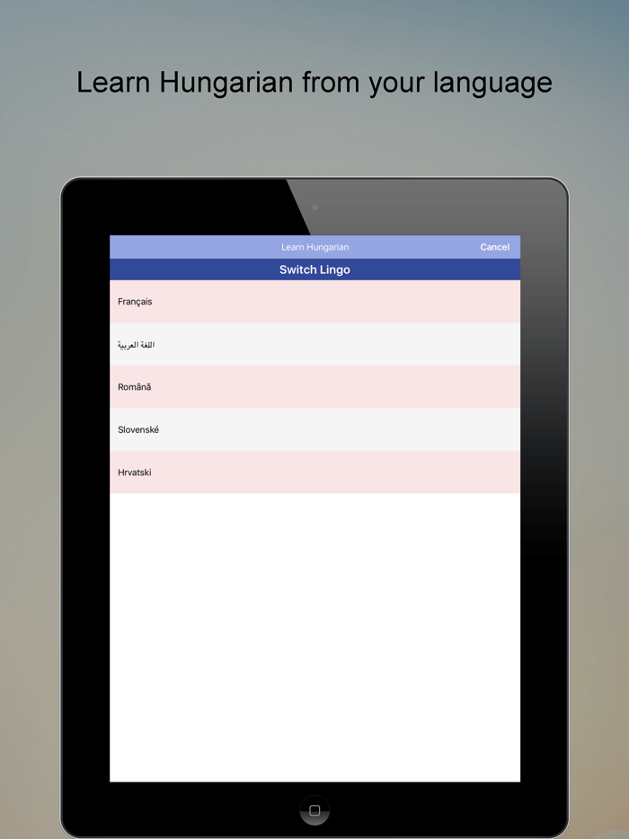 Learn Hungarian Smart Guide