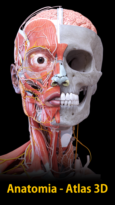 Anatomia - Atlas 3D iPhone screenshot 1