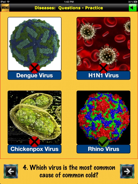 easyLearn Diseases: Life Sciences HD