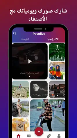 Game screenshot Pavolive apk