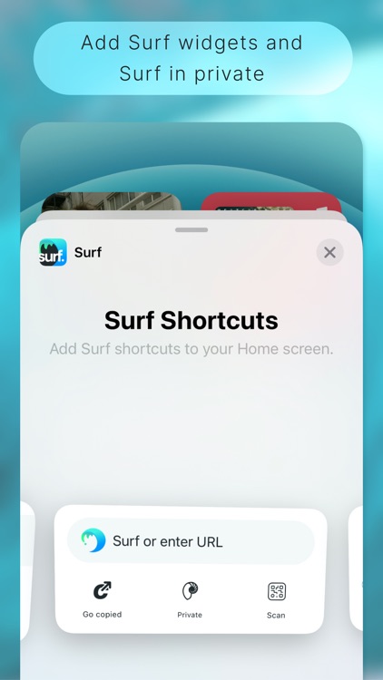 Surf browser screenshot-5