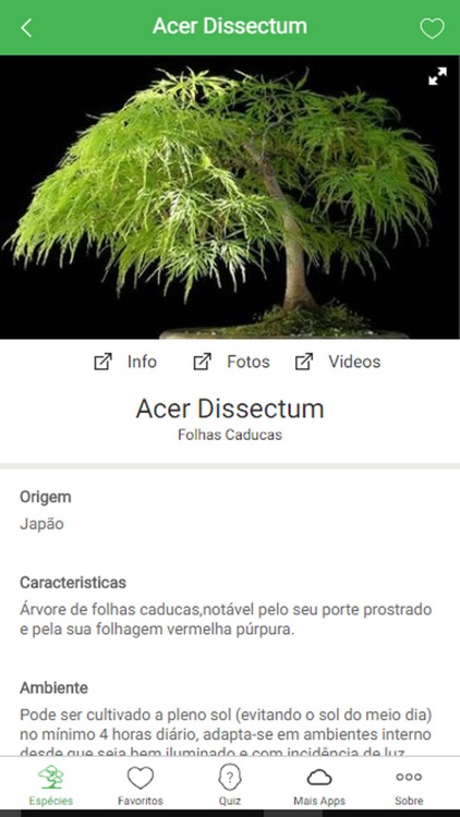 Bonsai Species