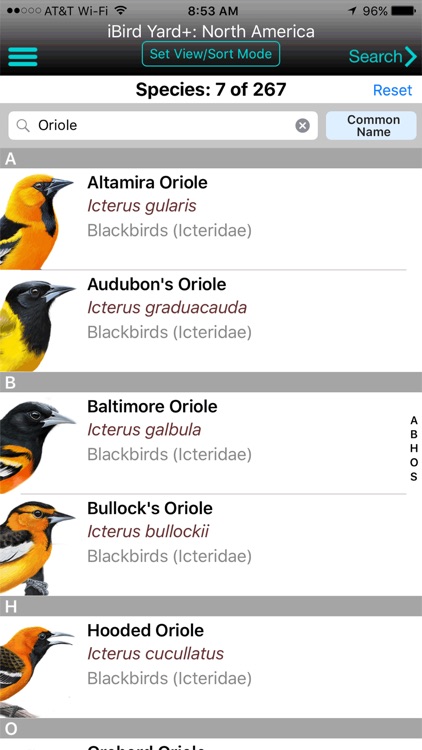 iBird Yard+ Guide to Birds