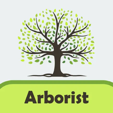 Certified Arborist Flashcards Cheats