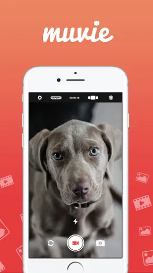 Screenshot von Muvie – Erstelle Filme Ohne Aufwand! auf dem iPhone 1