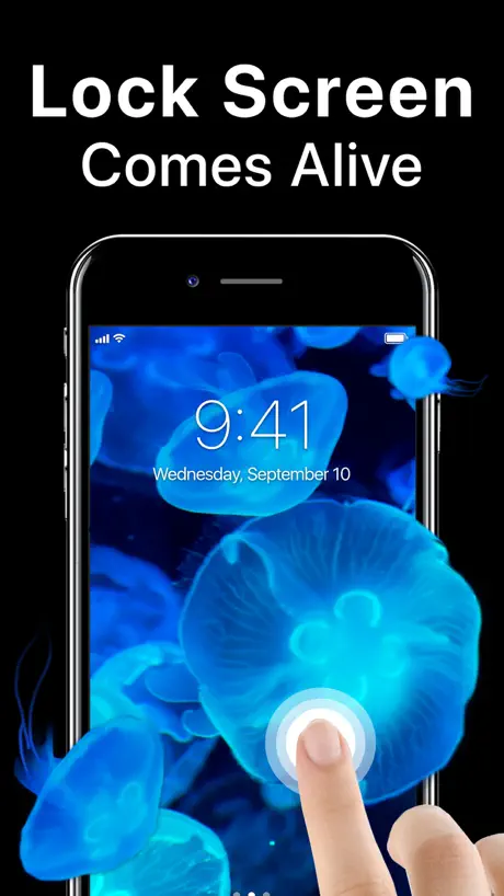 Live Wallpapers Maker 4k Theme