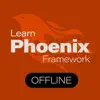 Learn Phoenix Framework [PRO] negative reviews, comments