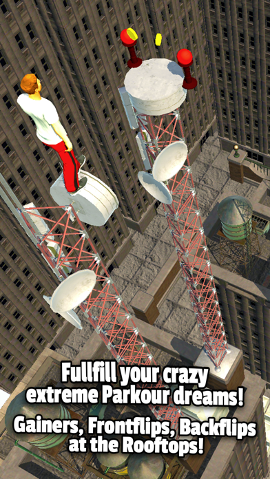 screenshot of Flip Runner 5