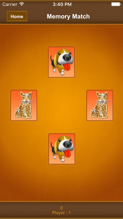 Memory Match* screenshot-3