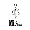 MiStudio B2B