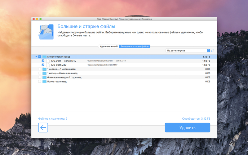 Скриншот из Disk Cleaner Movavi