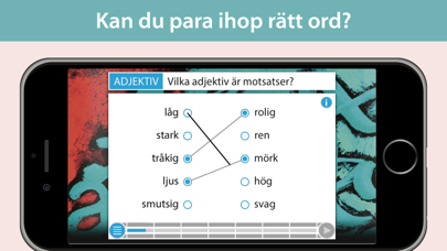 Form i fokus A – svensk grammatik Screenshot