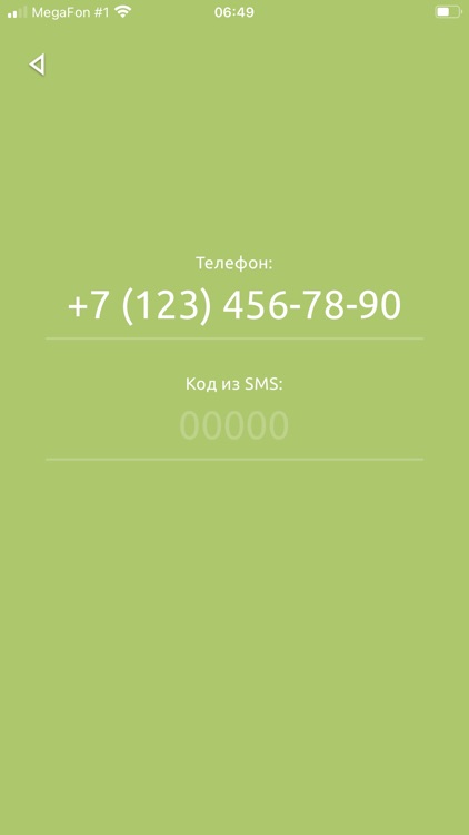 Везу еду 39 screenshot-4