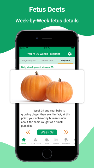 Pregnancy Tracker & Baby Care Screenshot