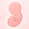 My Pregnancy App - Aleksei Neiman