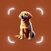 Dog Breed Identifier, Dogs icon