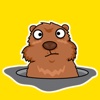Funny Groundhog Stickers