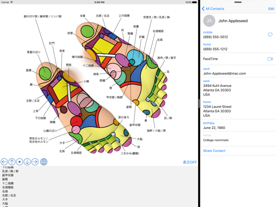 Foot Reflexology Chart iPad screenshot 4 - Health & Fitness app