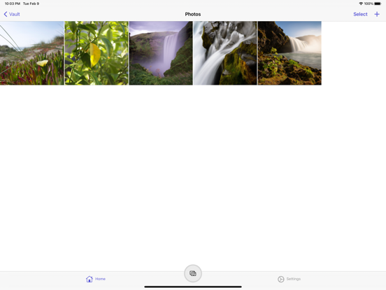 Screenshot #6 pour Vault - Secret storage